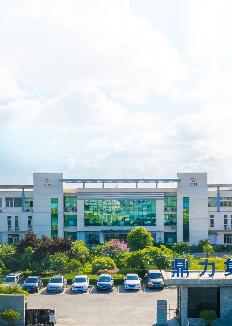 Dingli Group factory